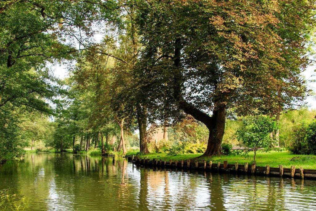 *Premium-Apartment Im Spreewald* Burg (Spreewald) Exterior foto